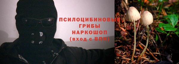 не бодяженный Арсеньев