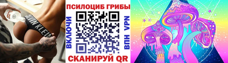 Псилоцибиновые грибы MAGIC MUSHROOMS где можно купить Богородск